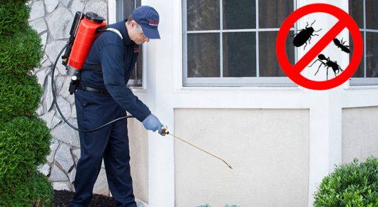 Karapınar Böcek ve Haşere İlaçlama böcek ilaçlama ve haşere kontrolü — ilaclama-tr.com